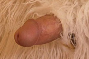 Farte xxxx Porn